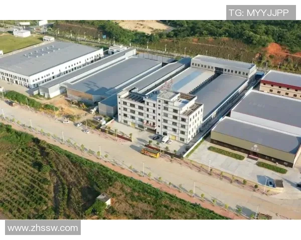 姚明惠州项目引领体育产业发展助力地方经济腾飞